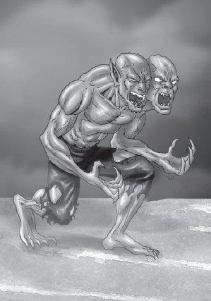 Swords and Wizdary vierd