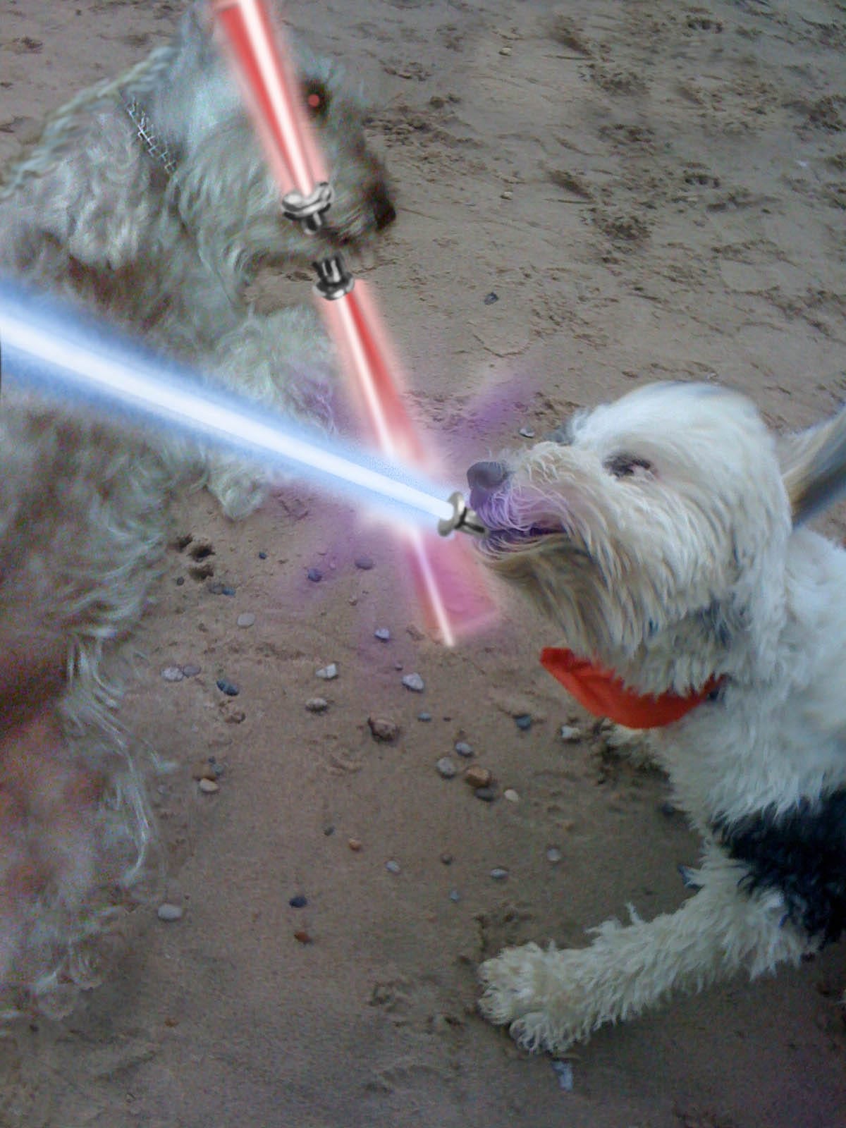lightsaber leash