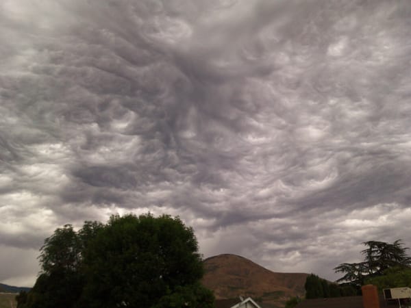 asperatus-1