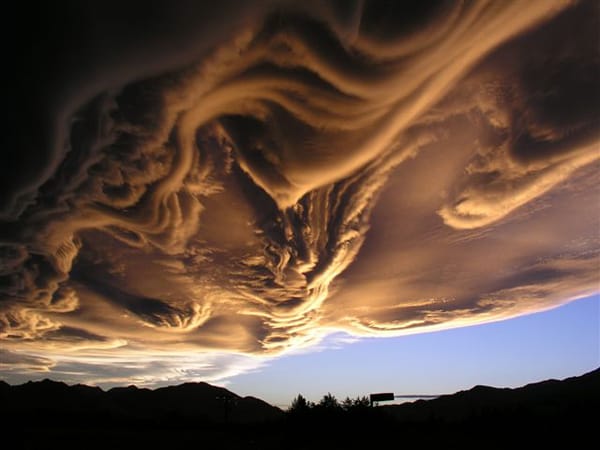 asperatus-2