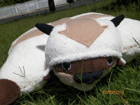 appa pillow pet