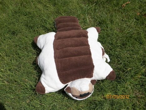 appa pillow pet