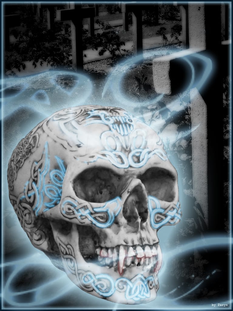 Parys Skull