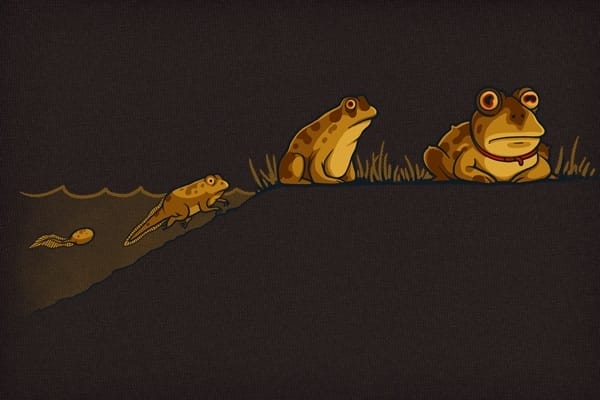 Evolution-of-Hypnotoad_42431-l