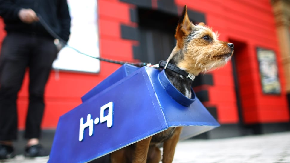 Owners Enter Their Dogs In To The Sci-fi Dogs Parade