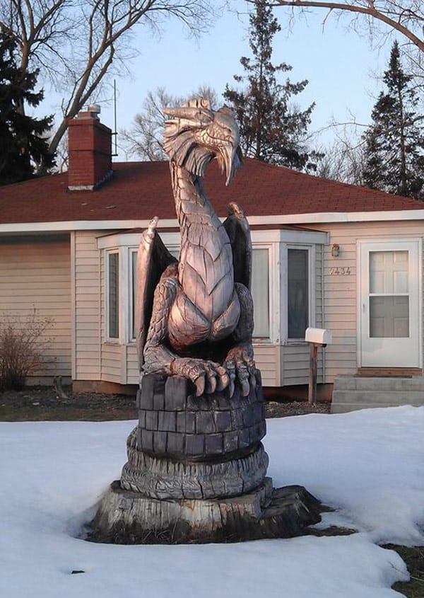dragon-tree-stump