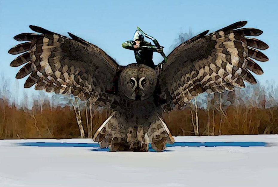Volant - owl
