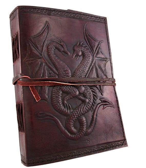 dragon notebook