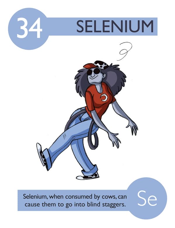 34_selenium copy