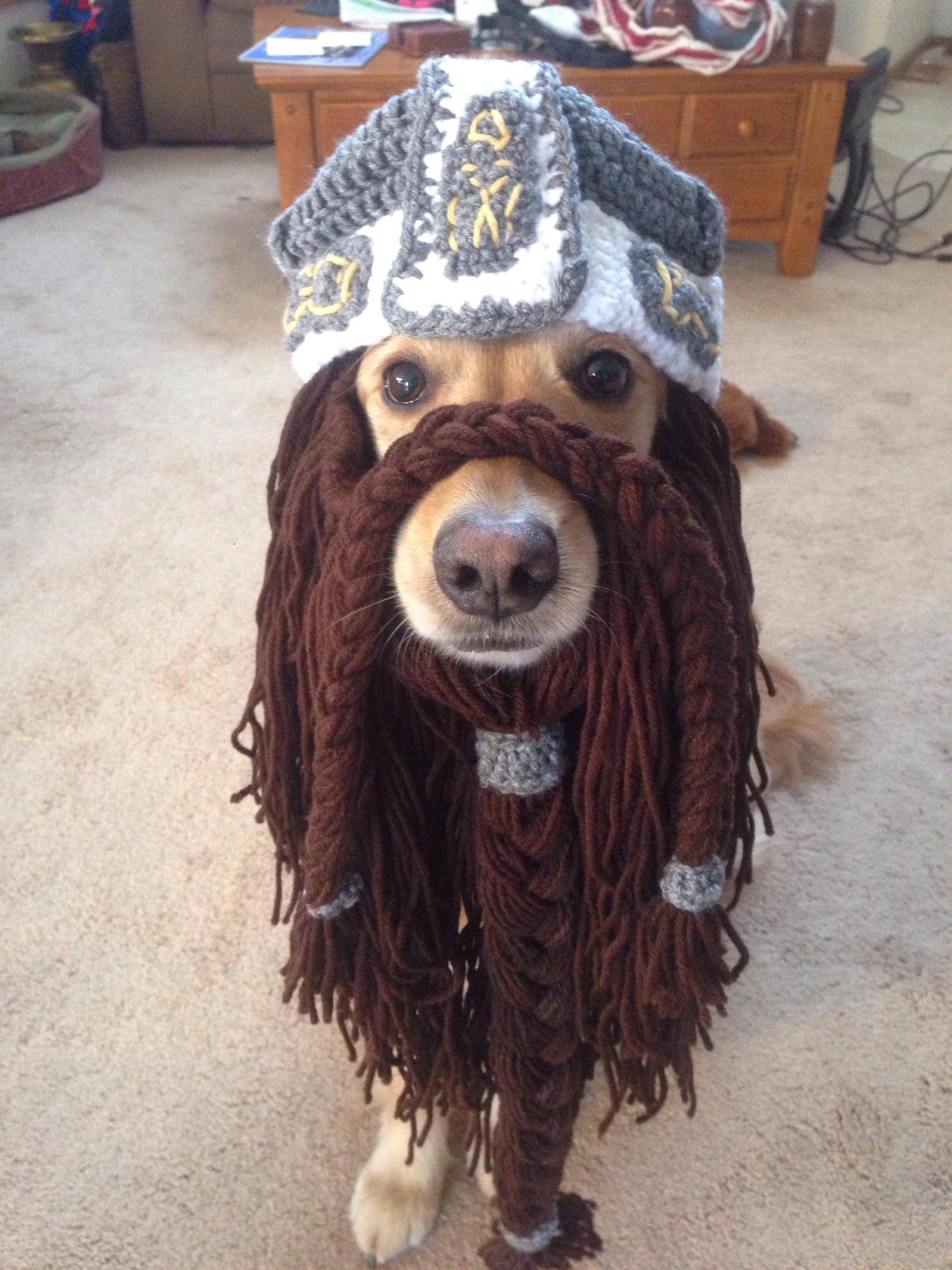 Be surprised Labradors can dress as dwarves