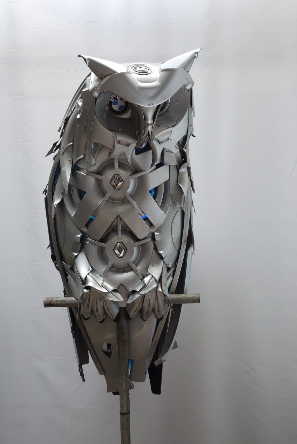 hubcap-owl