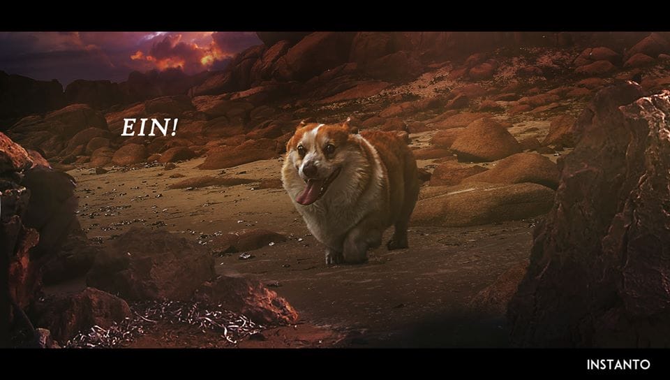 Cowboy Bepop cosplay 18