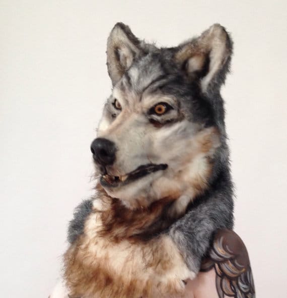2015-4-wolf