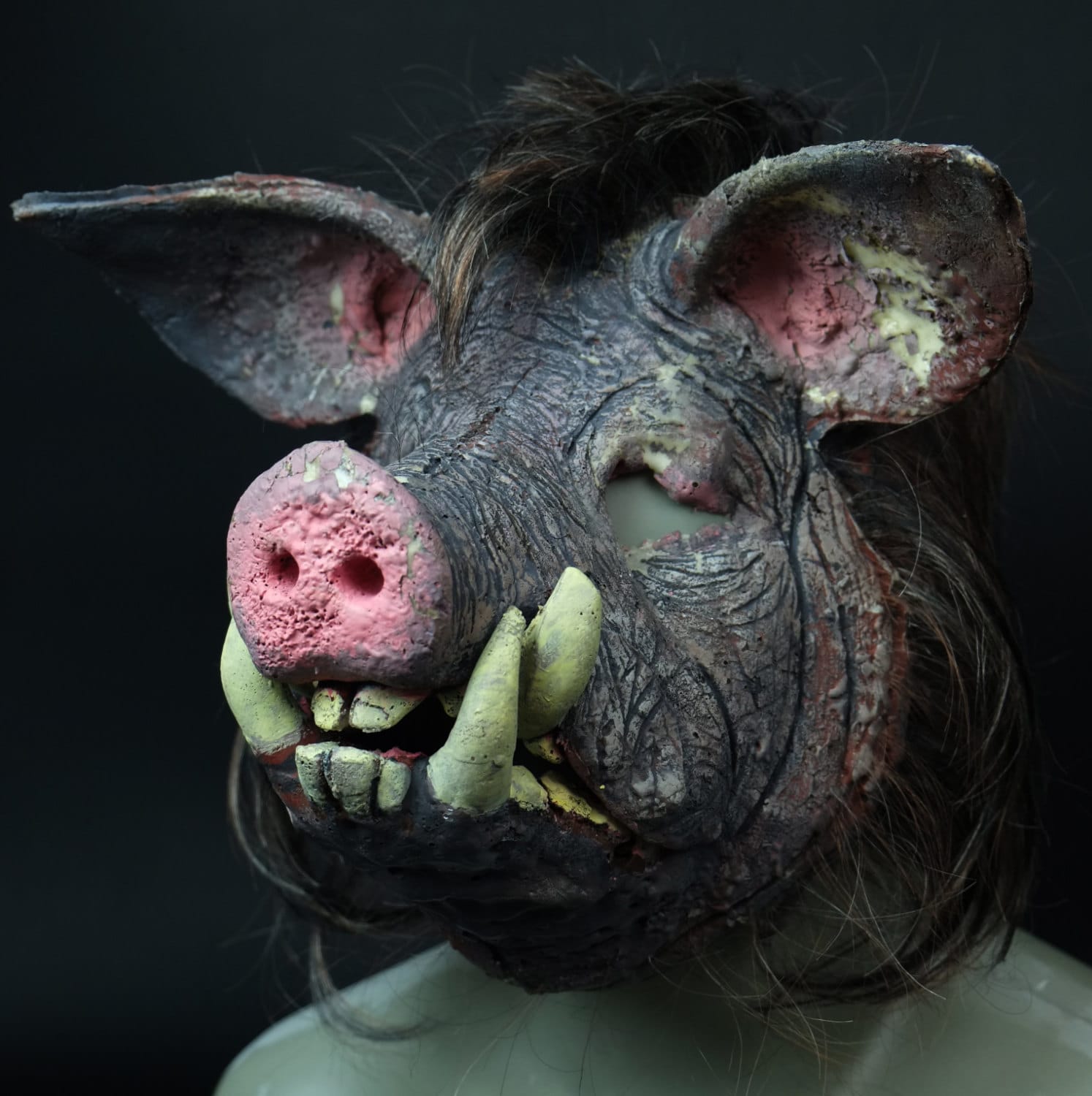 2015-5-boar