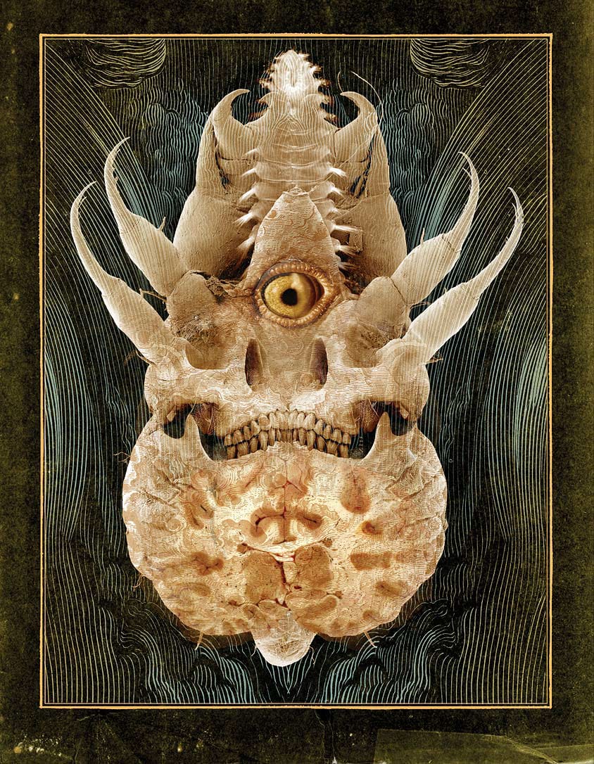 The Bestiary by Ivica Stevanovic back