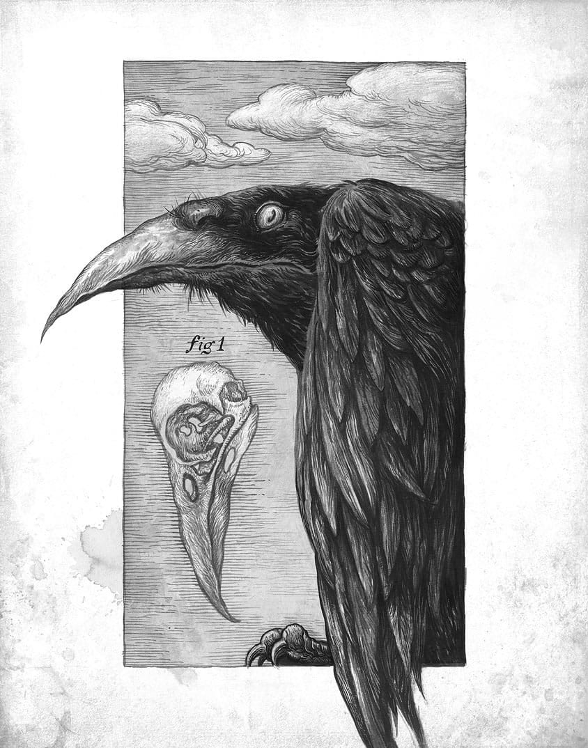 Ivica Stevanovic - evil crow
