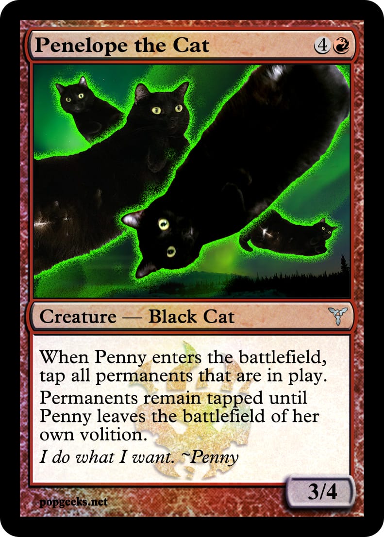 The Magic: The Gathering card for your cat