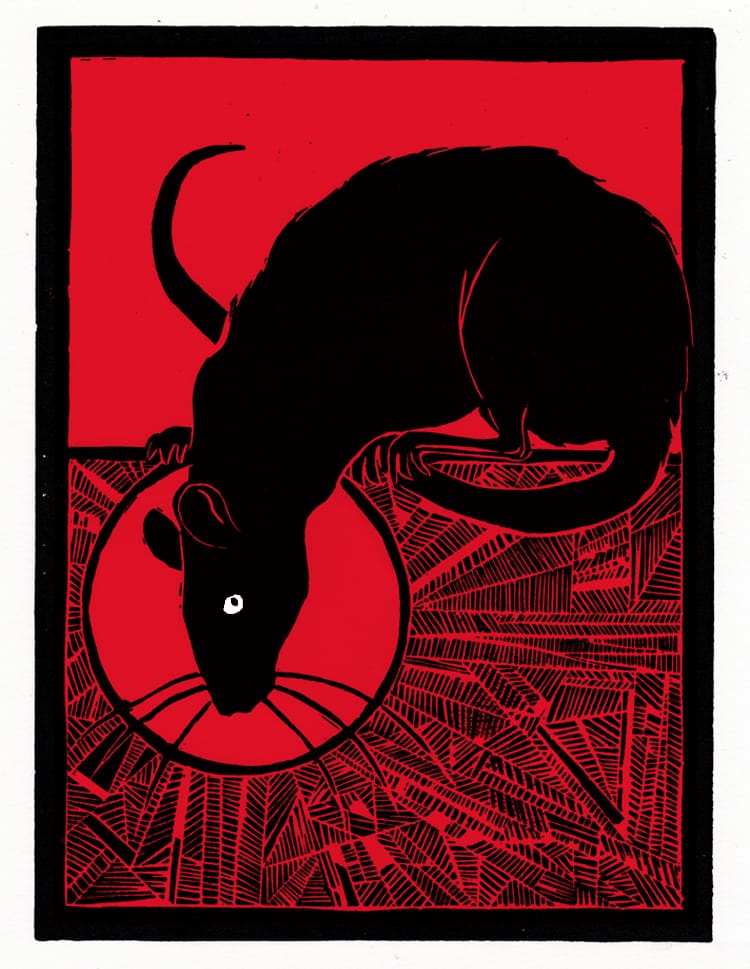 rattusiiwipsmallred2