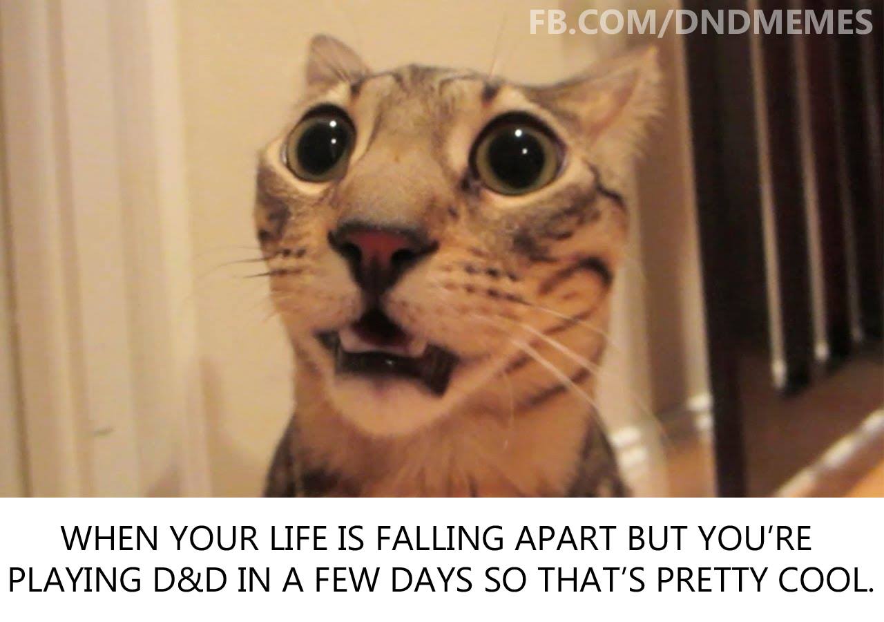dnd-memes-life-8-7k