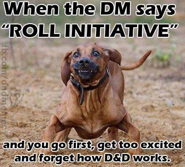 dnd-memes-roll-initiative-9-5k