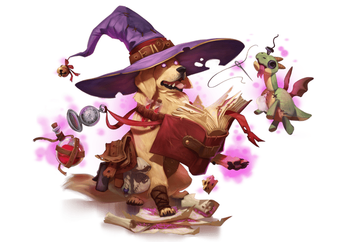 Wizard doggo