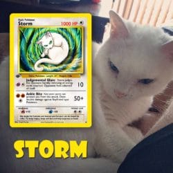 Your pet drawn as a Pokemon - Storm