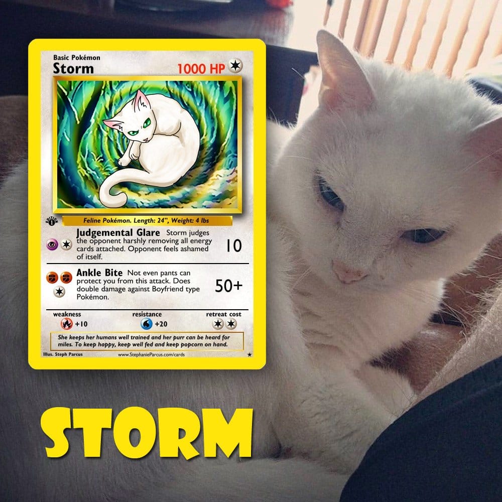 cat pokemon card Turn your pet into a PKM, Personalized Pet as PKM Card, Custom Photo Anime  Card, Gift For Him, Gift For Her, Pet Lover Gift Cat Gift main image 1