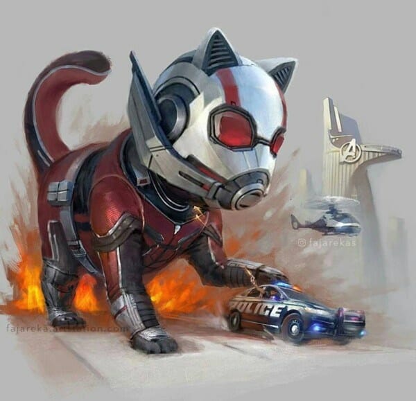 Ant-man has a cat