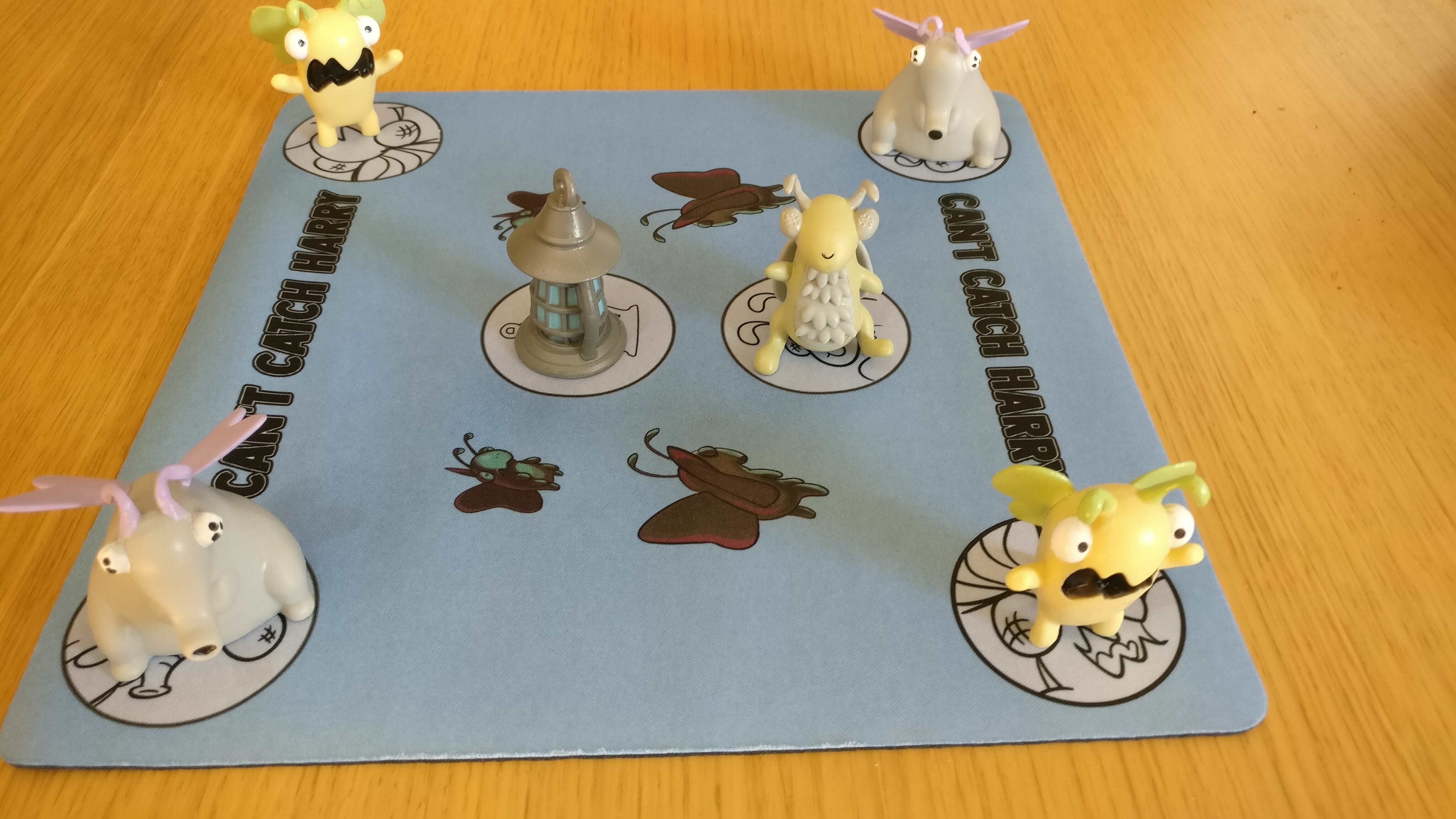 Can't Catch Harry set-up