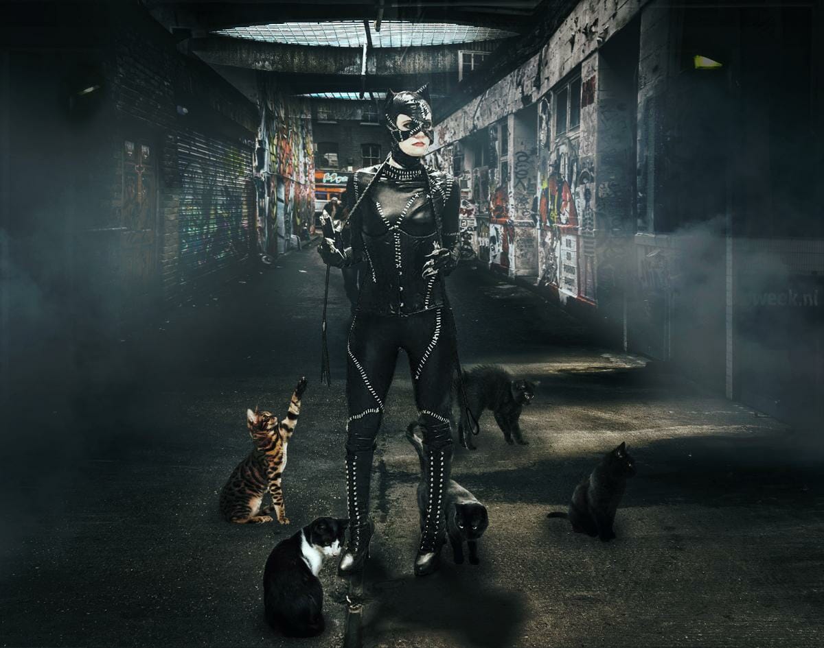 Catwoman cosplay