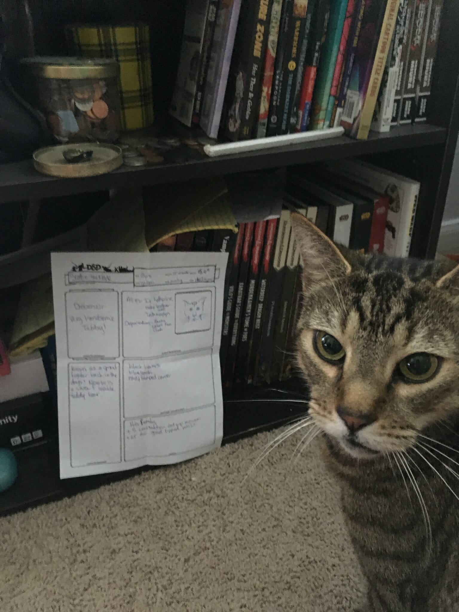 Cat character sheet