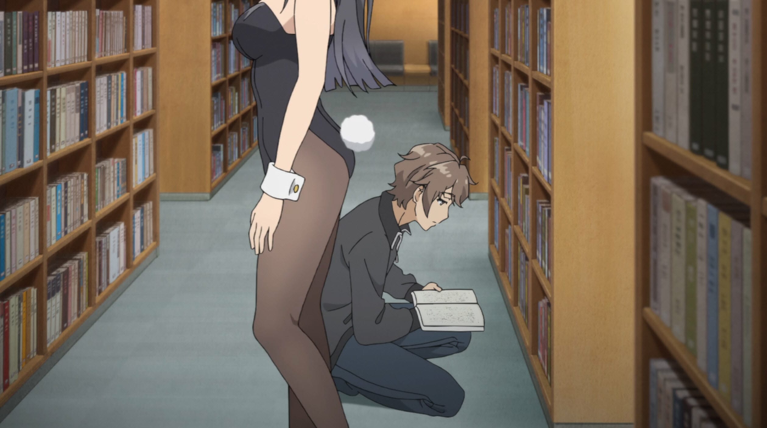Rascal Does Not Dream of Bunny Girl Senpai