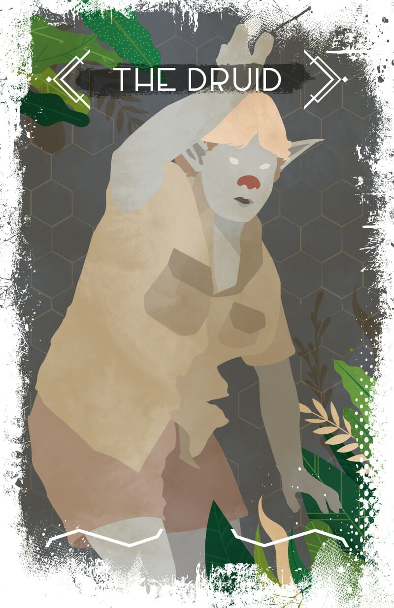 Mateus Pegoraro's druid
