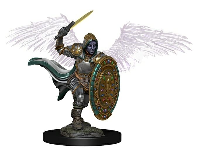 Aasimar Paladin