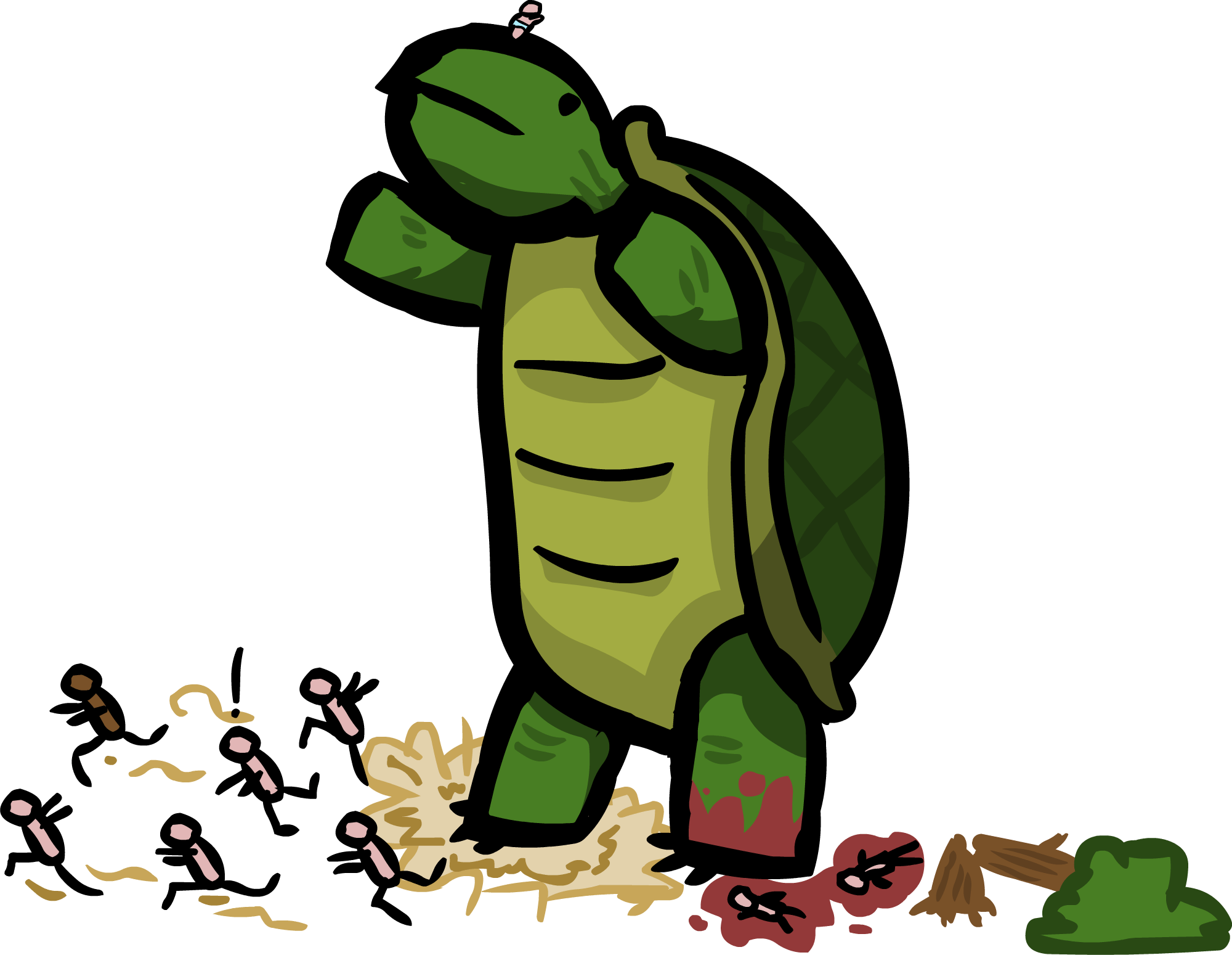 Unrelated turtle picture