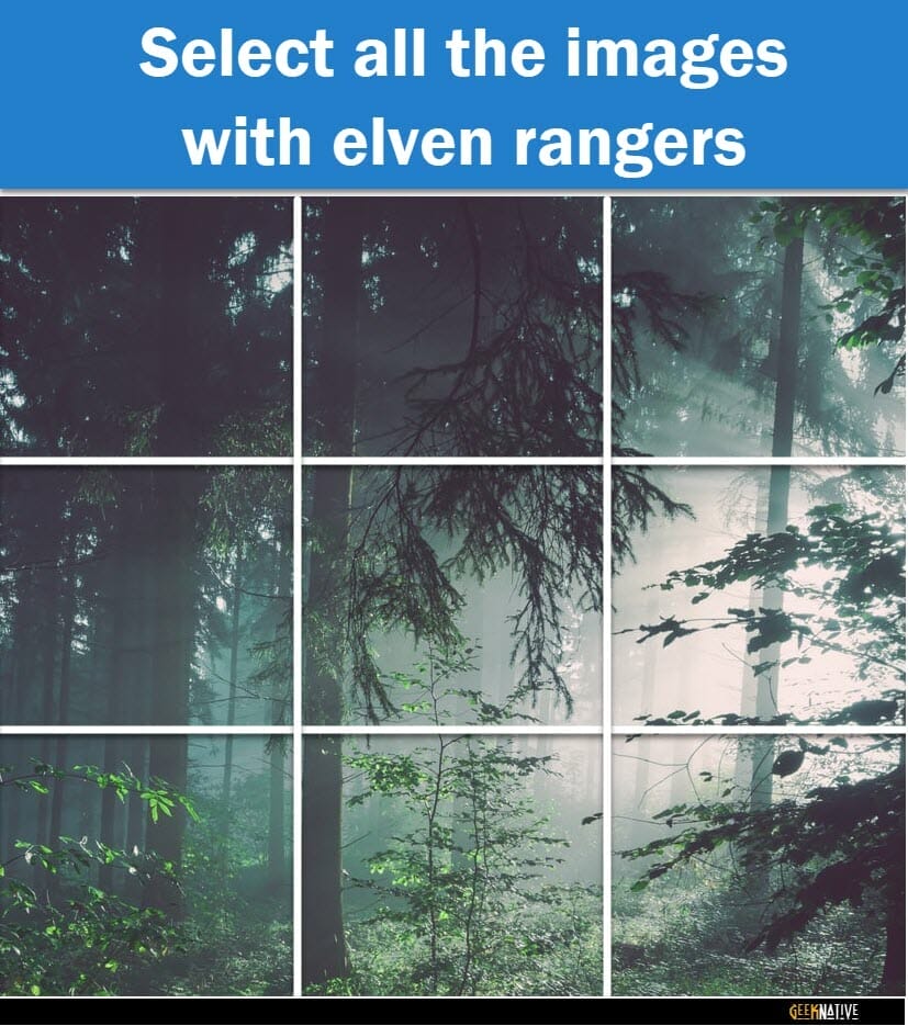 Select all the images with elven rangers