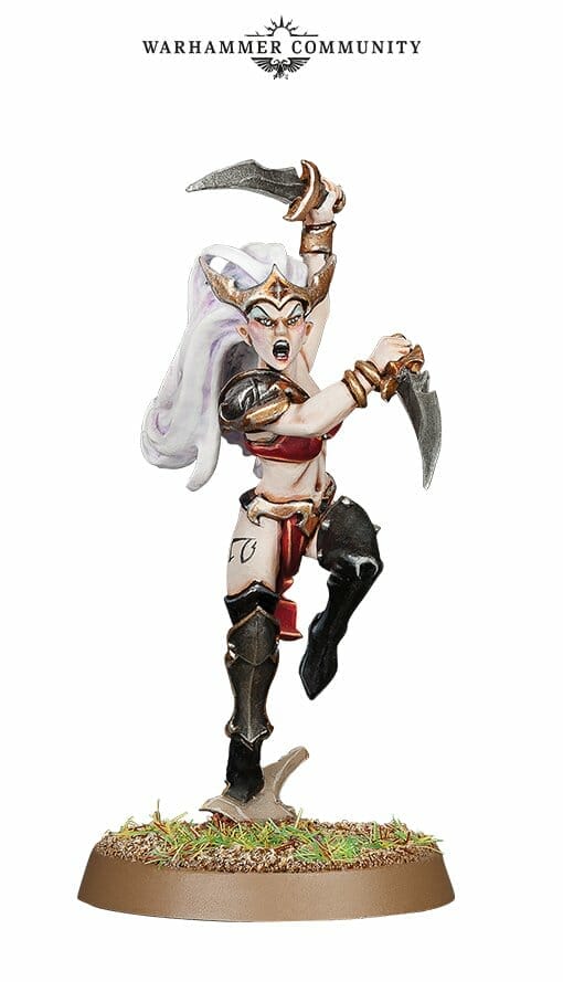 Witch Aelves models