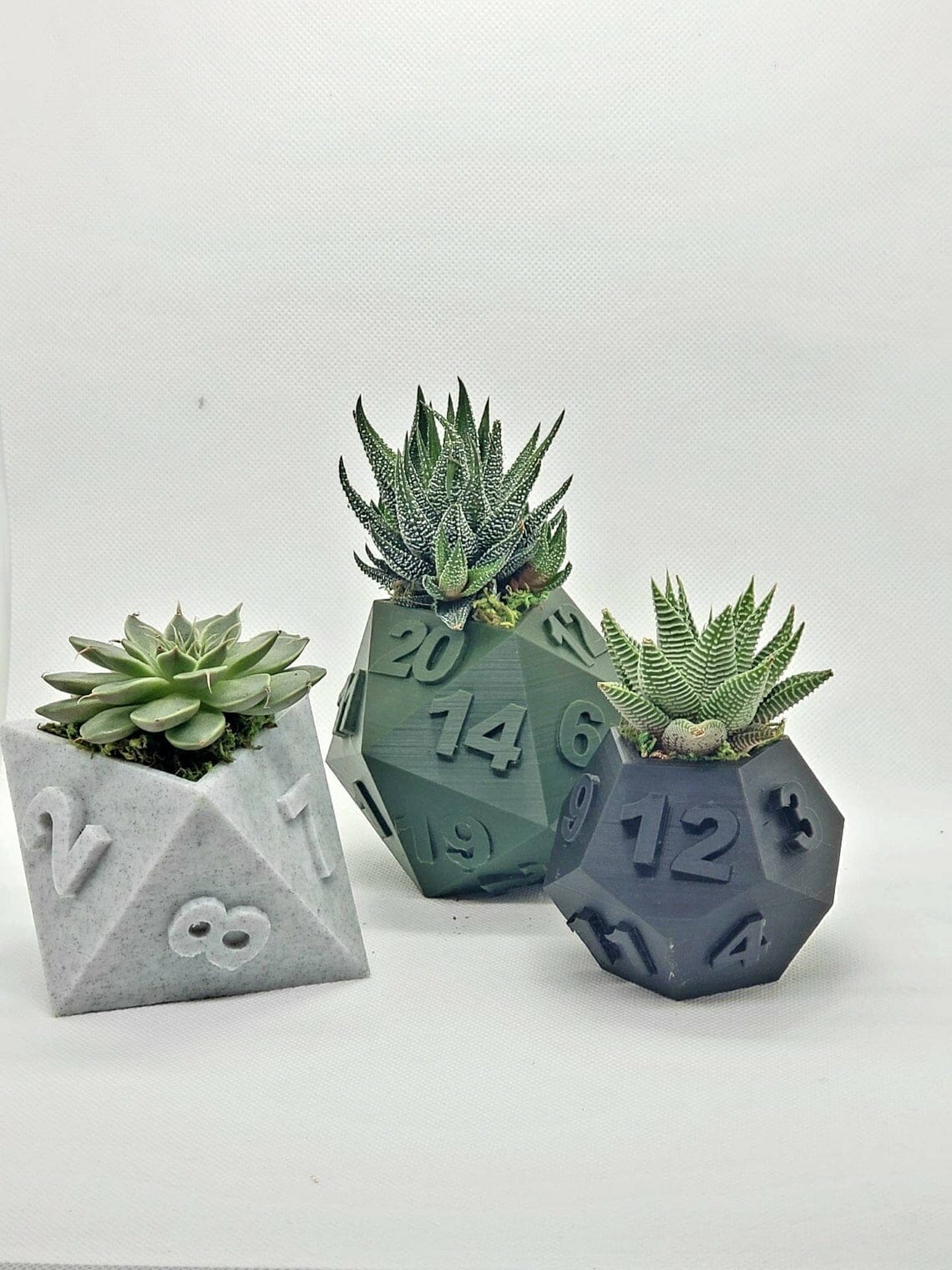 Tabletop Dice Printed Plant Pots