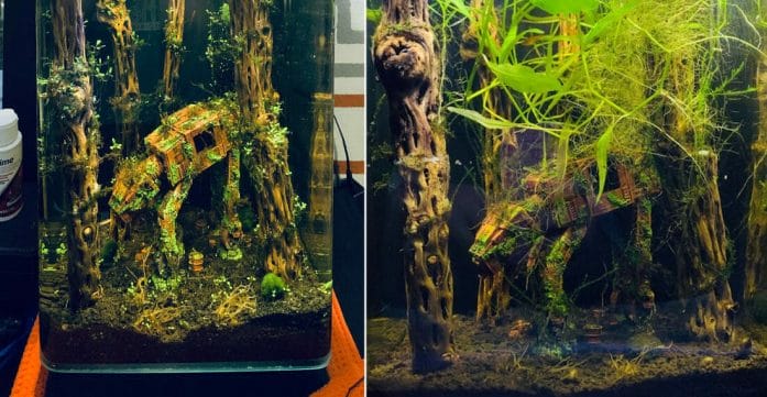Star Wars aquarium