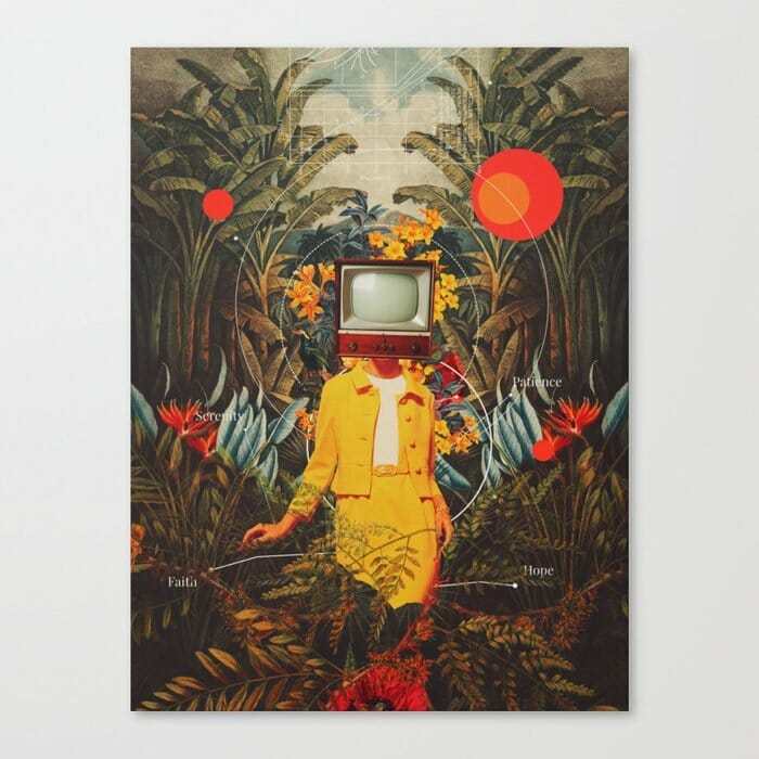 Frank Moth - She Came from the Wilderness.