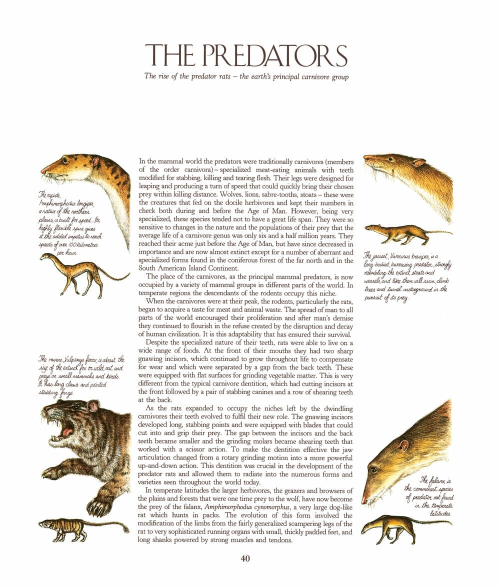A look inside speculative zoology After Man 40th Anniversary Edition