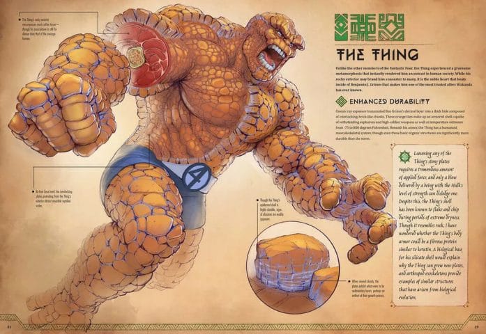 The Thing anatomy