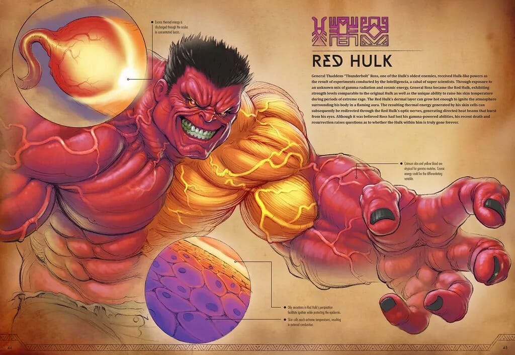 Red Hulk  anatomy