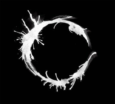 The Art & Science Of Arrival