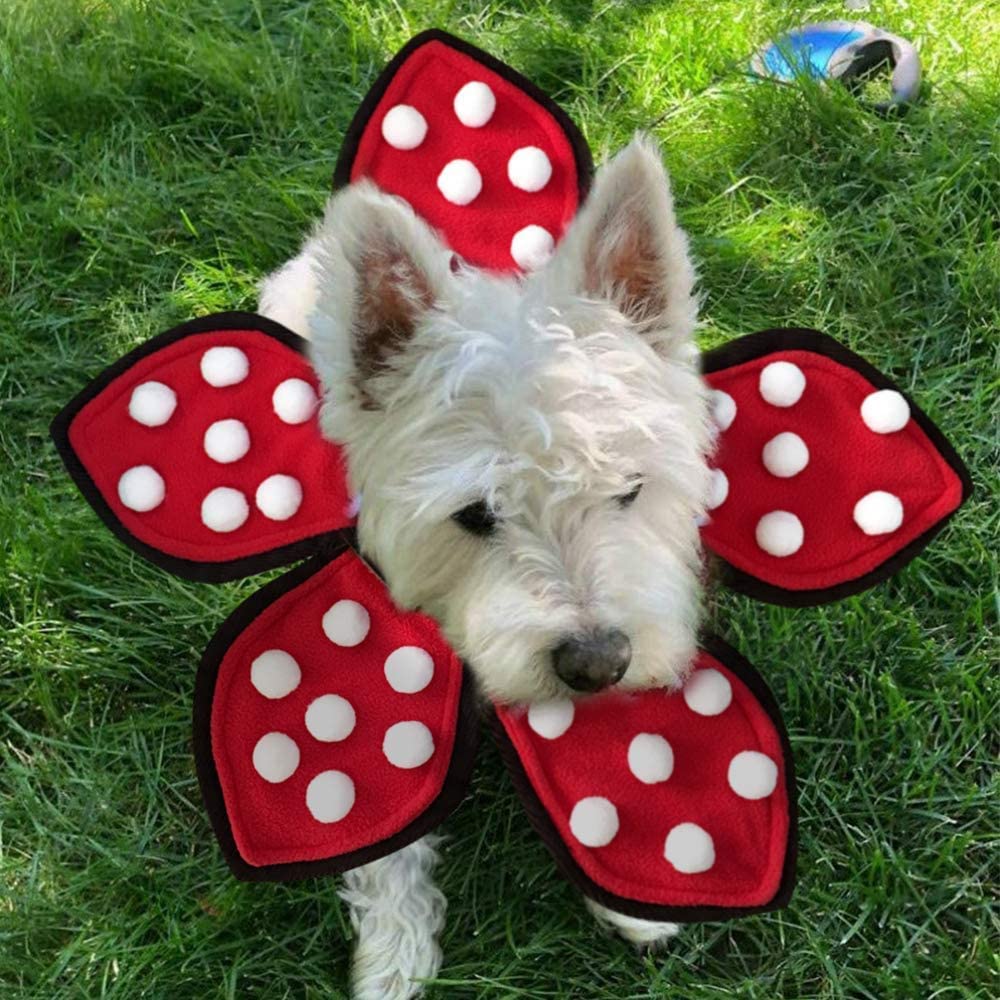 Dog in Demogorgon halloween costume