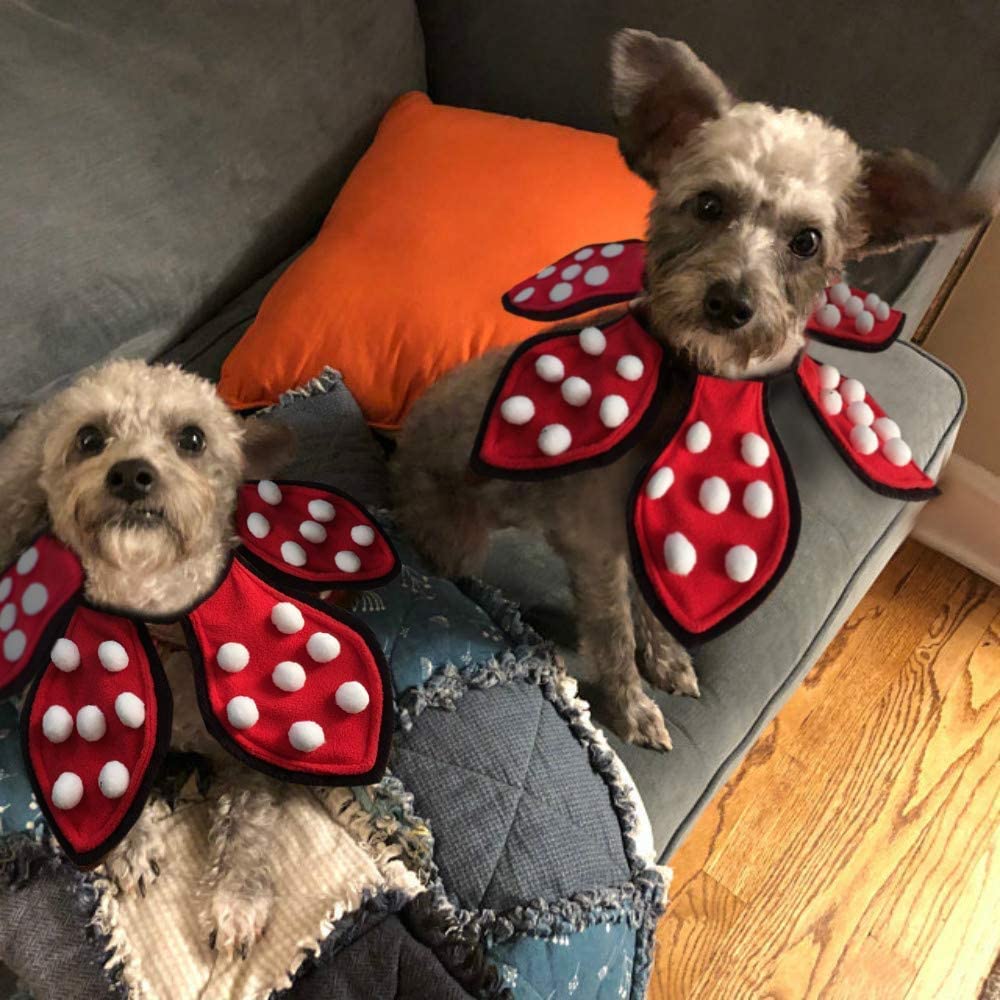 Demodog Halloween costume! Let your dog channel their inner