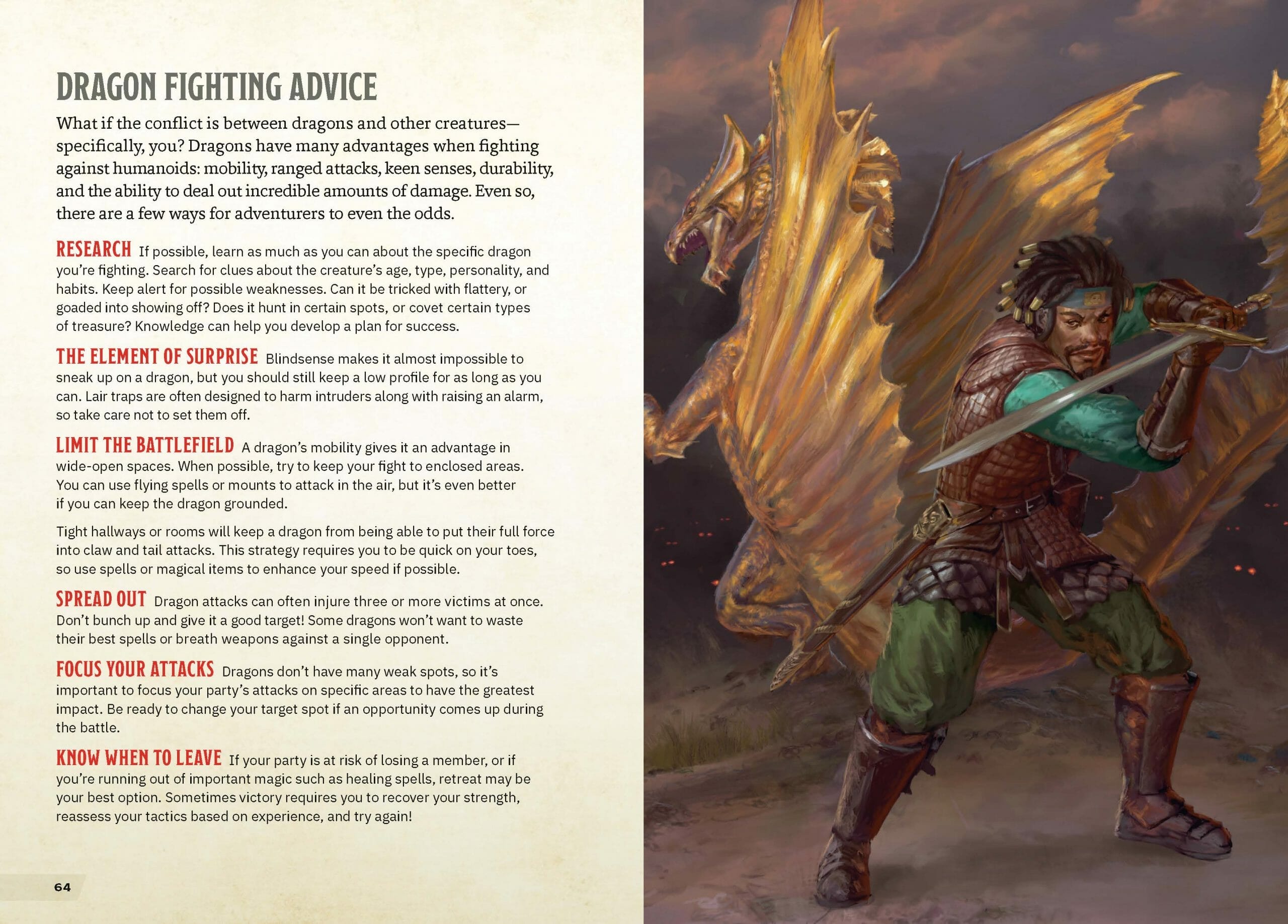 Dragons & Treasures preview - dragon fighting advice, with combat picture