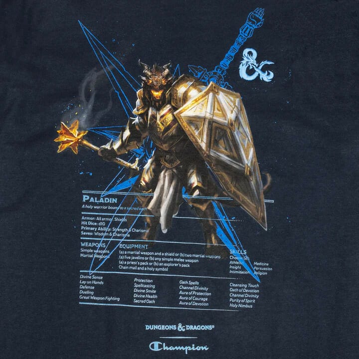 D&D t-shirt: Paladin