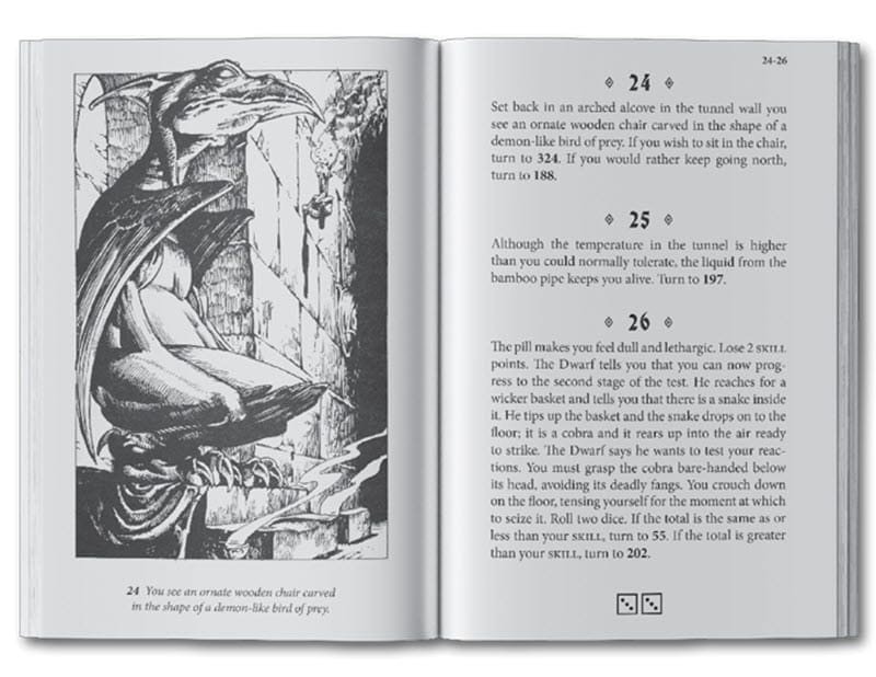 Adventure gamebook page